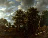 Jacob van Ruisdael - A Pool surrounded by Trees